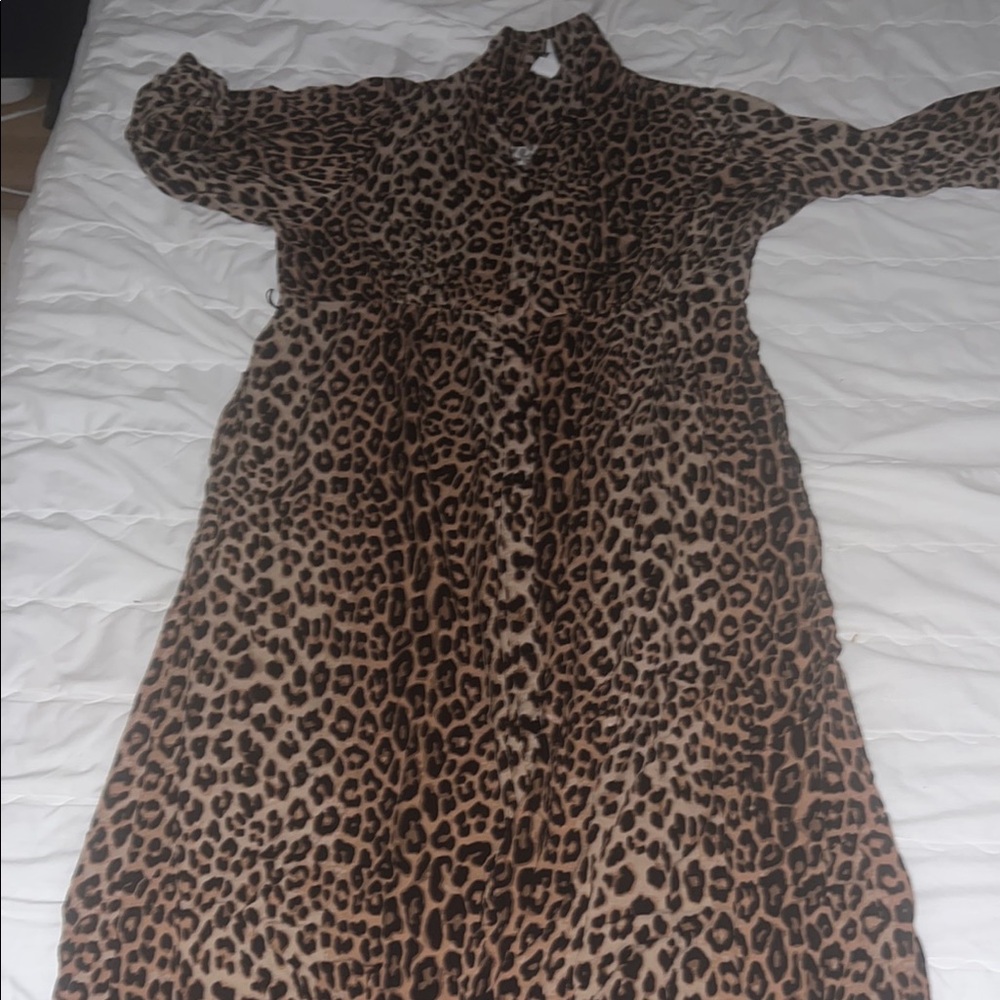 Leopard Print Long Sleeve Dress